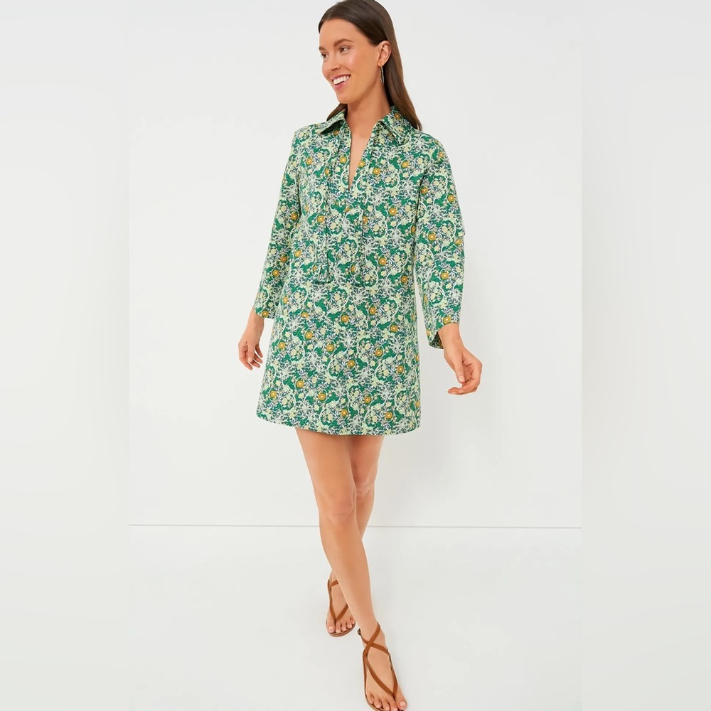 Hyacinth House Long Sleeve Green Carrington Collared Mini Dress